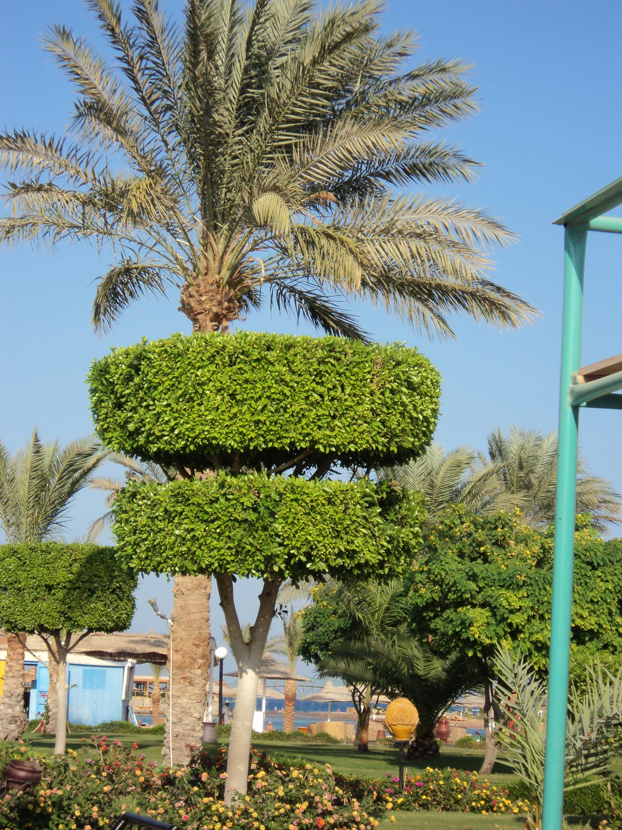 Gartenanlage mit Palmen im Desert Rose Resort Hurghada