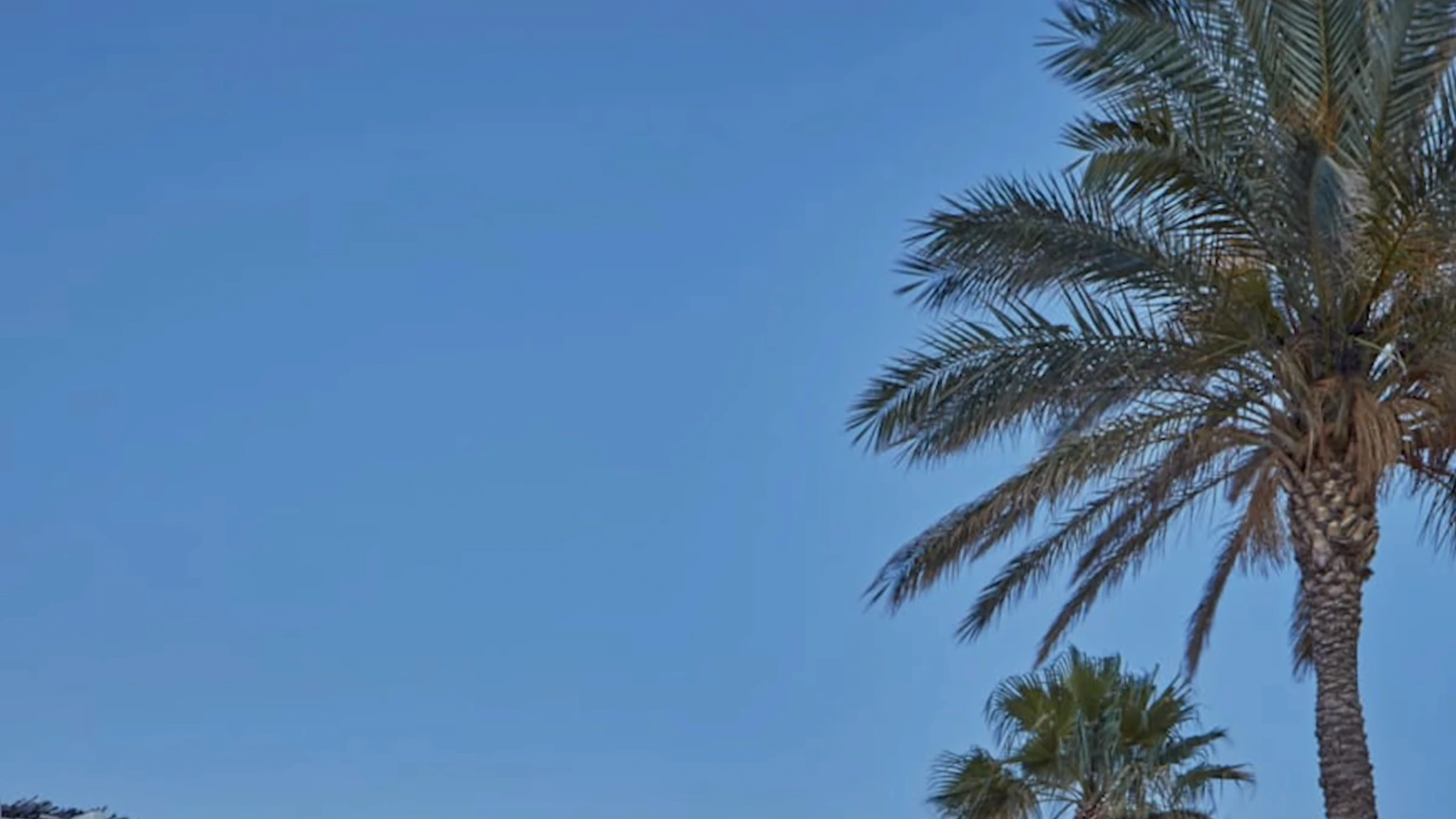 Atlantica Aegean Blue – Garten mit Palmen